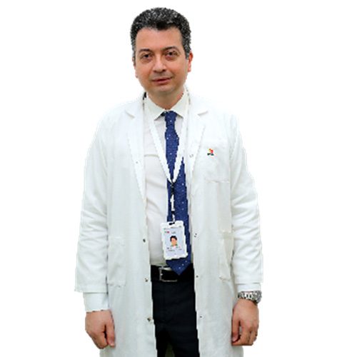 Dr. Ahmed Aly Elghannam